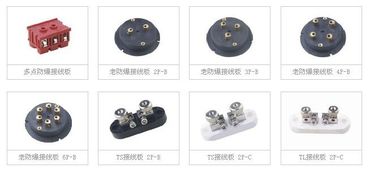 China Dauerhafter Entlüftungsloch-Abstand des Thermoelement-Verteiler-keramischer Block-40mm fournisseur