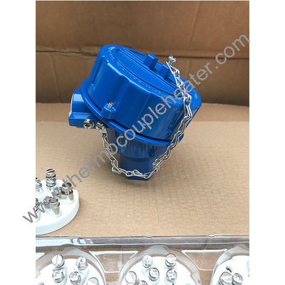 Blue Explosion Proof Thermocouple Head Bp5e Ex-Proof