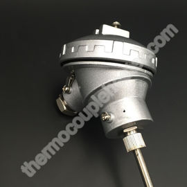 Meter hohe Präzisions-Thermoelement FTE 6 x 10 für die chemischen/petrochemischen Industrien