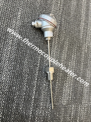 RTD Sensor Duplex PT100 Doppel-Elemente 6-Leiter Mineralisoliert Sonde